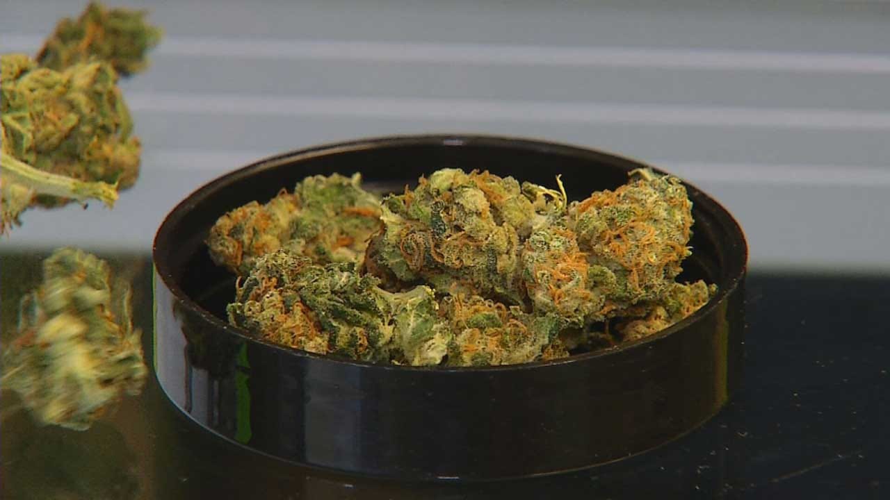 Medical Pot On Campus: Colleges Say No And Face Lawsuits