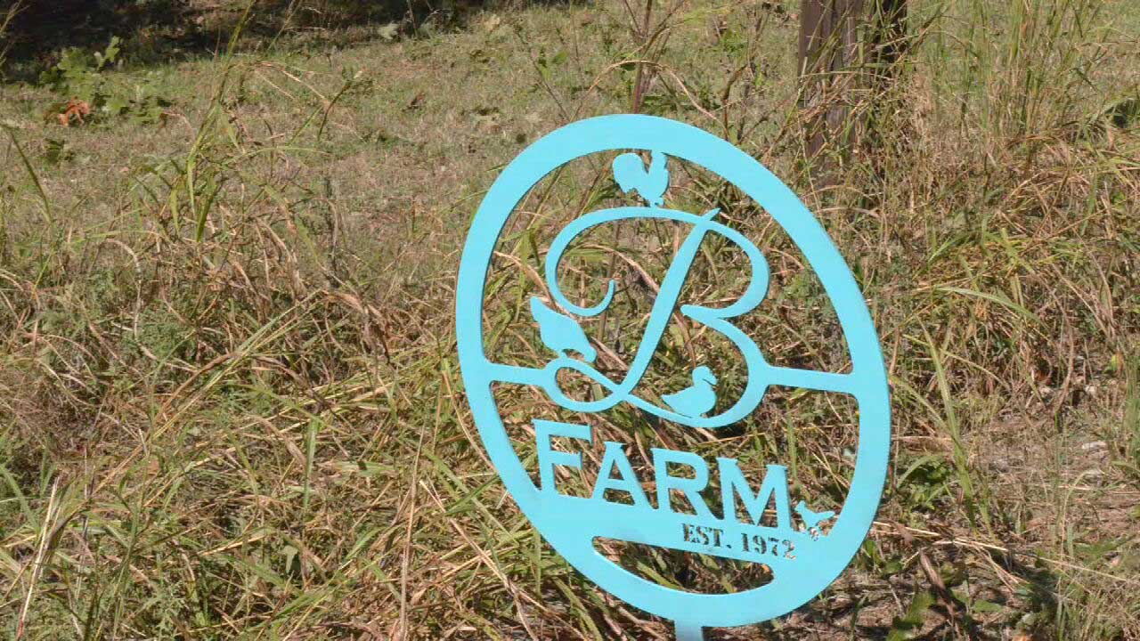 Harrah Family Surveys Damage After Severe Weather Damages Farm