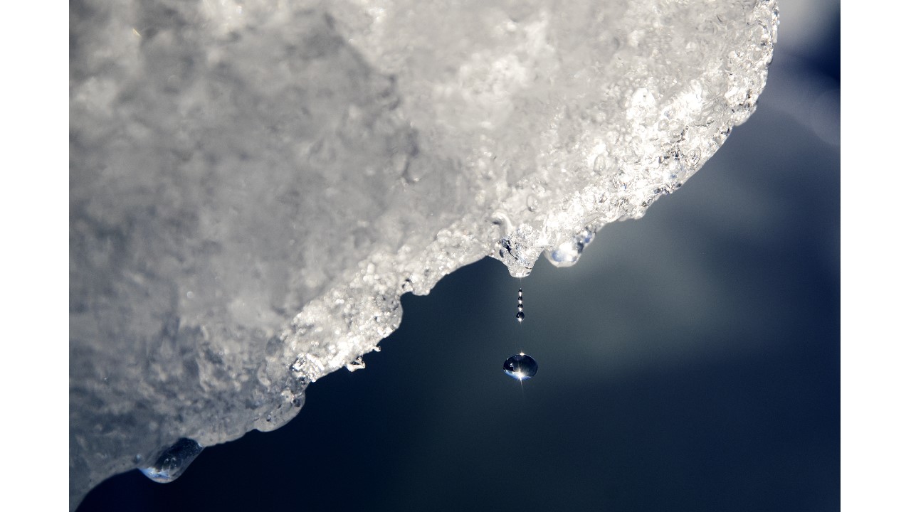 Hot Poles: Antarctica, Arctic 70 And 50 Degrees Above Normal
