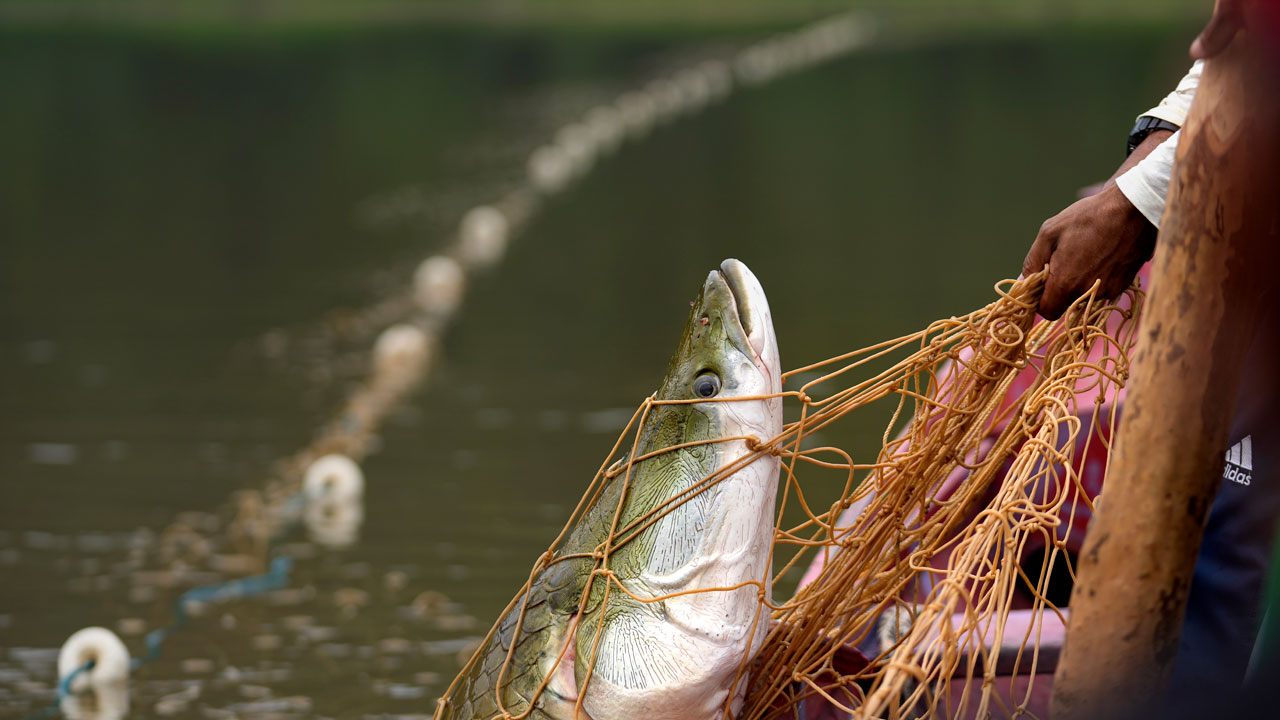 Brazil Expels US Fishing Tour Company From Indigenous Land