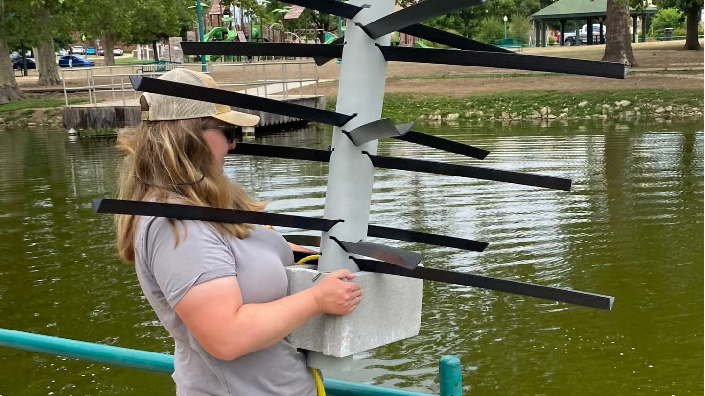 Enid’s new fish attractors 